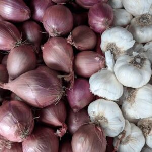 Oigons de Murhesa | Achat par mesure