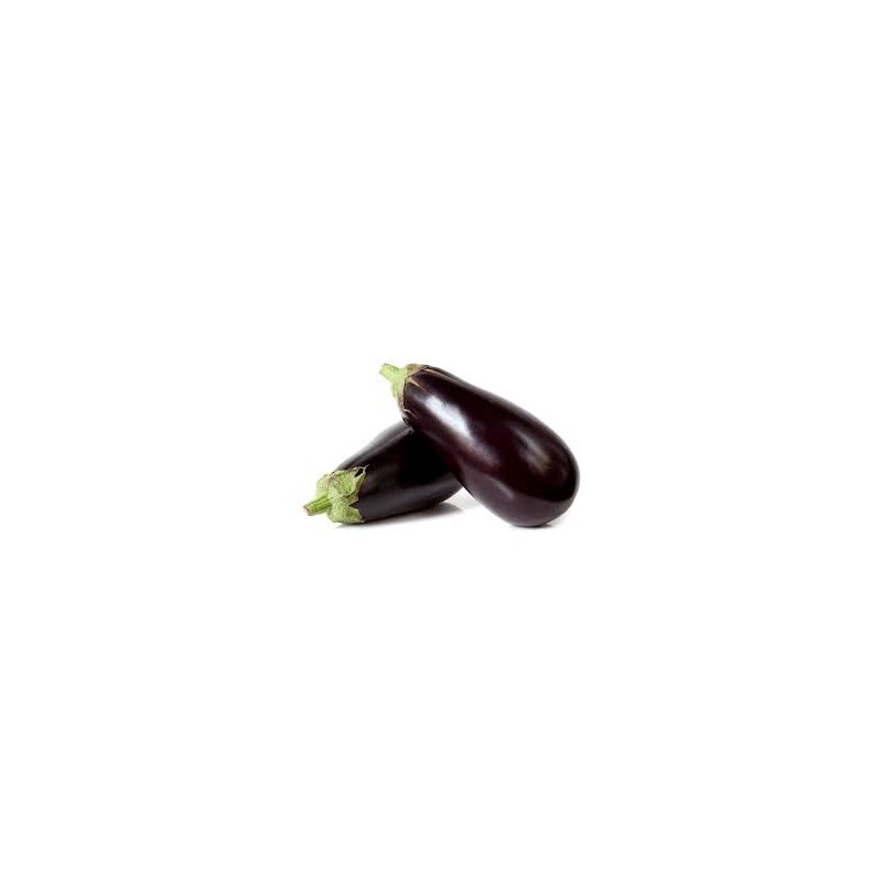 Aubergine(Tas)
