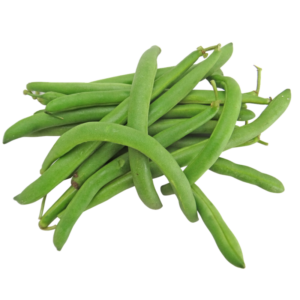 haricots verts(le kg)